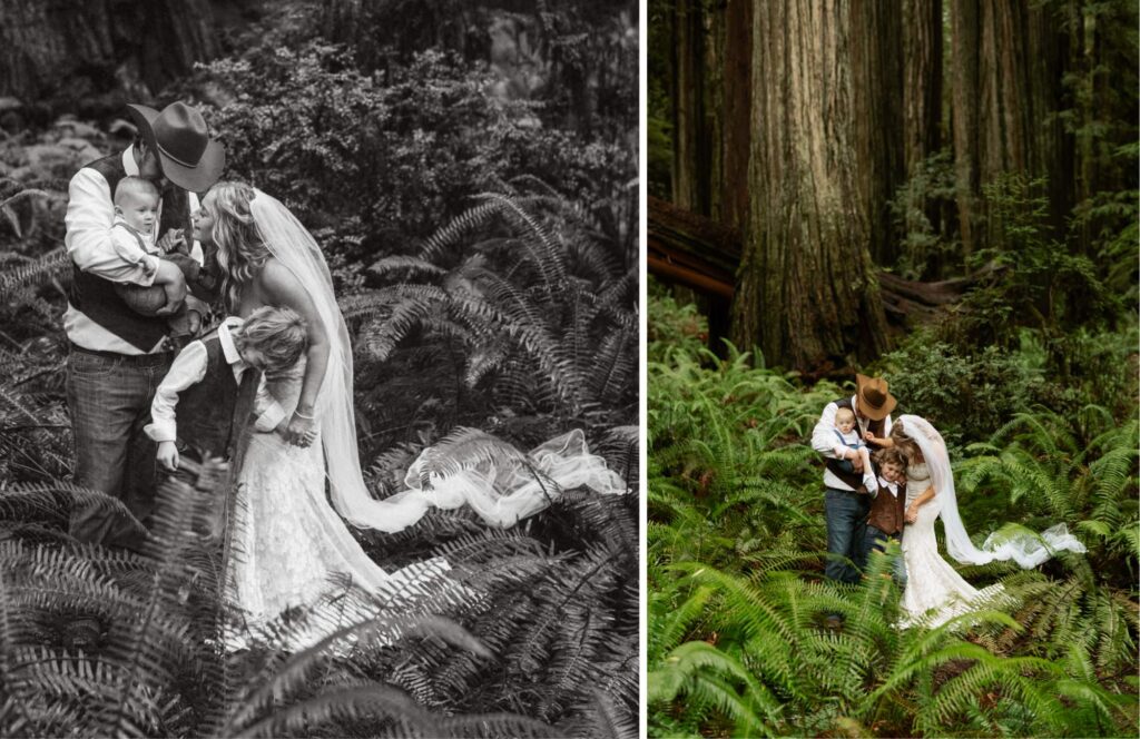 family portraits in the redwoods