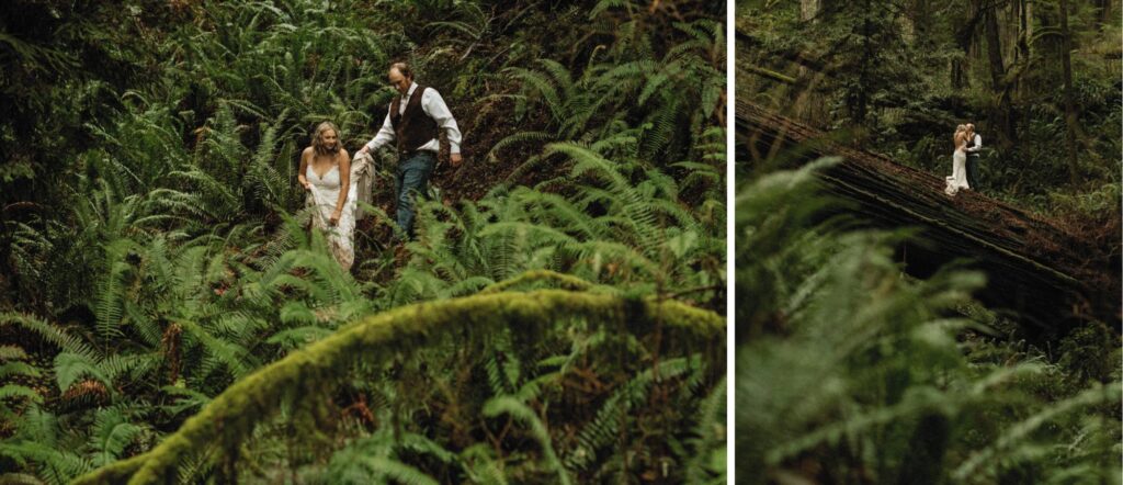 Couple portraits in the redwoods