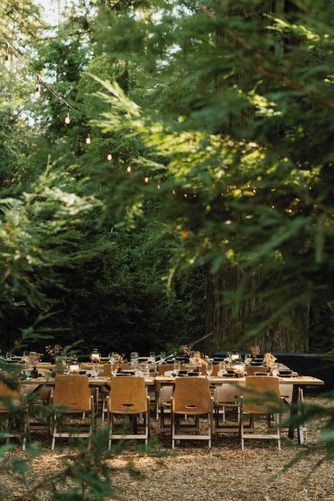 Dinner under the redwoods at AutoCamp Sonoma in Russian River