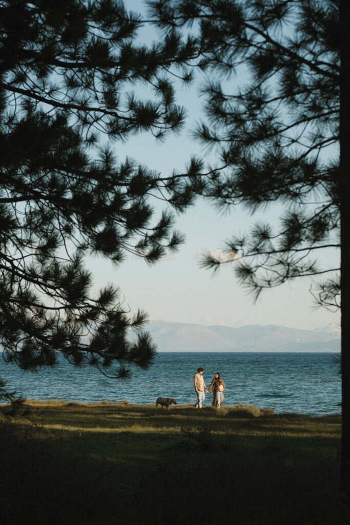 Maternity Photos in Lake Tahoe