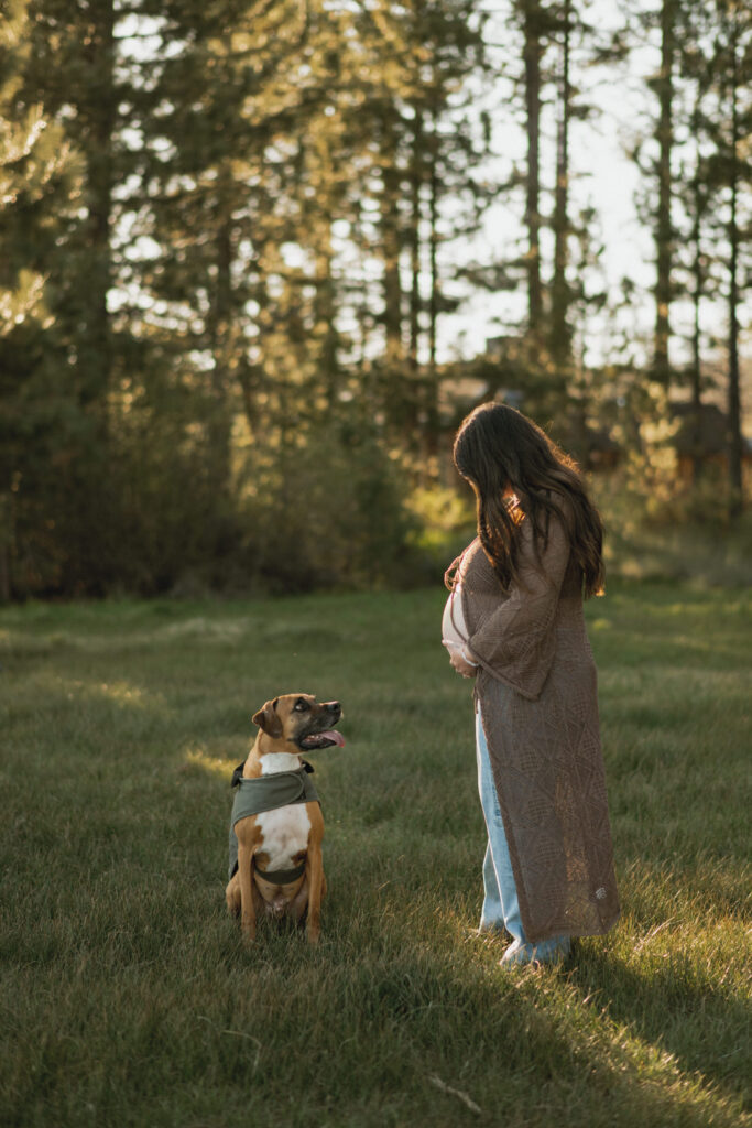 Maternity Photos with dog